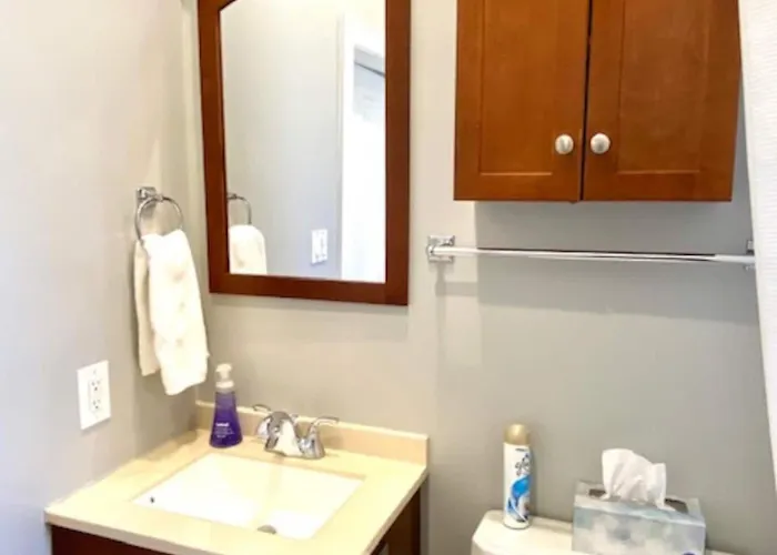 Walk To Wrigley 3br1ba Sleeps 8 Free Parking * Chicago
